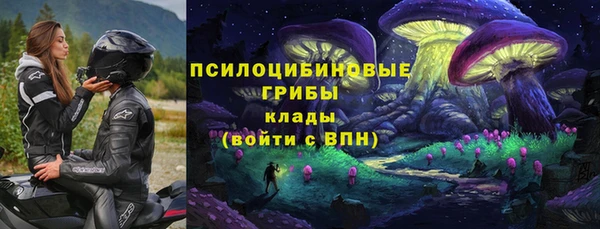 амфетамин Алексеевка
