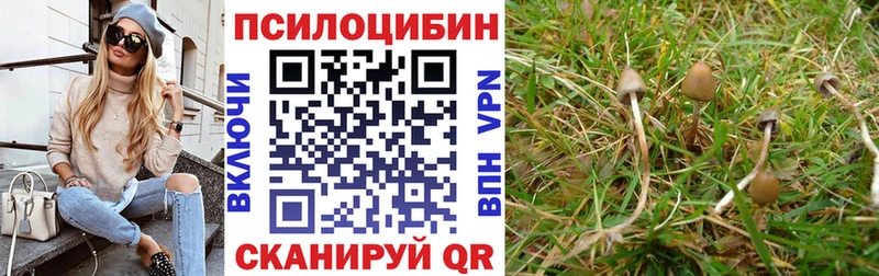 маркетплейс Telegram  купить   Каменск-Уральский  Псилоцибиновые грибы мухоморы 