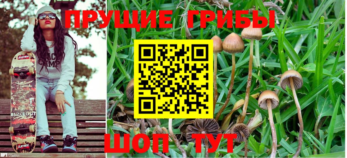 закладка  Вход с VPN  Каменск-Уральский  Псилоцибиновые грибы ЛСД 