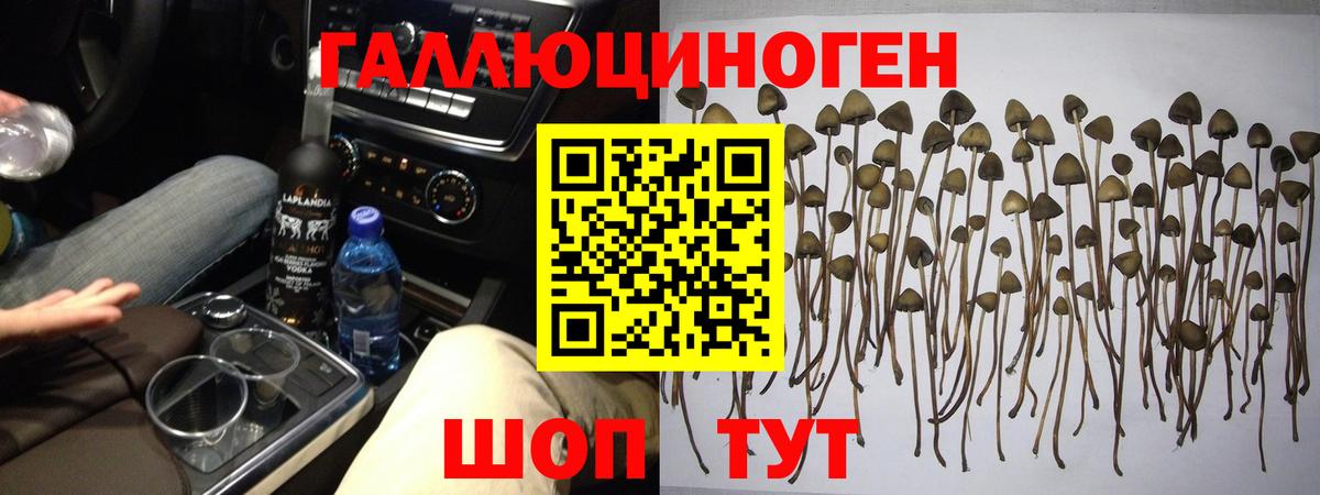 Псилоцибиновые грибы мицелий Каменск-Уральский
