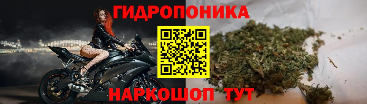 Бошки Шишки планчик Каменск-Уральский